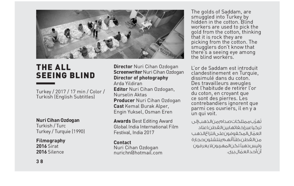 The all Seeing Blind